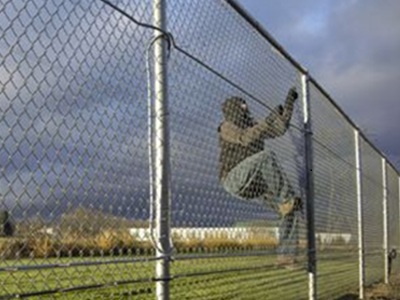 fence climb fence climb